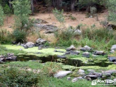 Paseo y Baño por el Valle y Río Tiétar;berrea monfrague viajes organizados a madrid puente de san